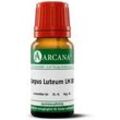 Corpus Luteum LM 12 Dilution 10 ml