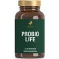 PROBIOLIFE Probiotika