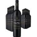 6+6-PAKET Rothschild Mas Andes PLOT C-15 Cabernet Sauvignon 2022