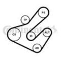 CONTINENTAL CTAM Keilrippenriemensatz für RENAULT NISSAN 11720-9969R 7701477542 117200051R 7PK1795K2