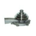 Saleri SIL Wasserpumpe für GENERAL MOTORS VAUXHALL OPEL 90136377 1334082 1334091 PA388P