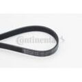 CONTINENTAL CTAM Keilrippenriemen für HYUNDAI RENAULT ALFA ROMEO KIA FIAT TOYOTA FORD BMW 11288512233 11288519874 2213356 6PK1780