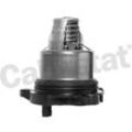 CALORSTAT by Vernet Thermostat, Kühlmittel mit Dichtung für SKODA VW SEAT AUDI PORSCHE 06M121115H PAC121115 06M121115J TE7367.103J