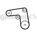 CONTINENTAL CTAM Keilrippenriemensatz für FIAT 7PK1076K1