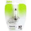 VALEO Glühlampe, Fernscheinwerfer ESSENTIAL Fernscheinwerfer,Glühlampe, Hauptscheinwerfer,Glühlampe, Nebelscheinwerfer,Glühlampe, Abbiegescheinwerfer,