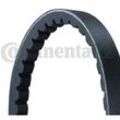 CONTINENTAL CTAM Keilriemensatz für IVECO DAF MERCEDES-BENZ FORD MAN VOLVO 4147646 51968206071 0059974492 2XAVX13X1050