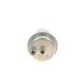 BOSCH Druckspeicher, Kraftstoffdruck VW,AUDI,BMW 0 438 170 019 16121152523,1269808,431133441B
