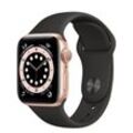 Apple Watch Series 6 (2020) GPS + Cellular 40 mm - Rostfreier Stahl Gold - Sportarmband Schwarz