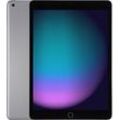 Apple iPad 10,2 128GB [Wi-Fi, Modell 2019] space grau