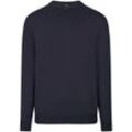 Rundhals-Pullover Peter Hahn blau