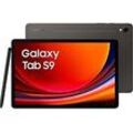 Samsung Galaxy Tab S9 11 128GB [Wi-Fi] graphite