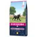 15 kg Eukanuba Puppy Large Breed Huhn Hundefutter trocken