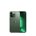 Apple iPhone 13 Pro 256 GB - Alpingrün (Zustand: Gut)