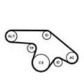 CONTINENTAL CTAM Keilrippenriemensatz für OPEL 6PK1370K1