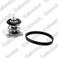 CALORSTAT by Vernet Thermostat, Kühlmittel mit Dichtung für SUZUKI ALFA ROMEO FIAT VAUXHALL SAAB LANCIA OPEL 1852879J80 1852879J81 1338297 TH9200.88J