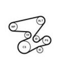 CONTINENTAL CTAM Keilrippenriemensatz für BMW 6PK2080K1