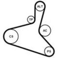 CONTINENTAL CTAM Keilrippenriemensatz für VW AUDI SEAT SKODA 6DPK1195K1