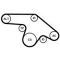 CONTINENTAL CTAM Keilrippenriemensatz für OPEL 6PK1370K1