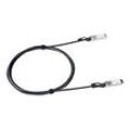 LANCOM SFP-DAC100-3M - 100GBase Direktanschlusskabel - SFP+ zu SFP+ - 3 m - Duplex
