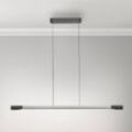 Paul Neuhaus LED-Hängelampe Hoop, alufarben, 128 cm, dimmbar