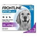 FRONTLINE SPOT-ON L (20-40 kg) 3 ST 3 St