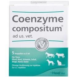 Coenzyme Compositum ad us.vet.Ampullen 5X5 ml