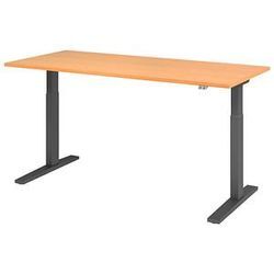 HAMMERBACHER XMKA19 elektrisch höhenverstellbarer Schreibtisch buche rechteckig, C-Fuß-Gestell grau 180,0 x 80,0 cm