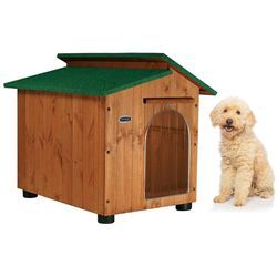 Hundehütte Hundehaus Hundehöhle Hundebox Aus Holz Massiv Wetterfest Echtholz made in italy Mod. Alpi b - Pudel mit 'thermovorhang' 60x70xH62