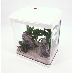 Aquaristikwelt24 - HR-300 weiß Nano Aquarium Komplettaquarium Filteranlage Neues Modell led Lampe