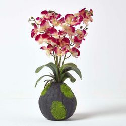 Kunstblumen Phalaenopsis Orchidee Rosa mit einem natürliche Sockel, 60 cm hoch - Rosa & Creme - Homescapes