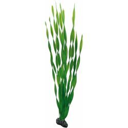 Vallisneria, 60 cm - Kunststoffpflanze für Aquarien - Hobby