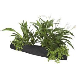 Tuyau de plantation Velda Sac de plantation Plant Sock 15 x 80 cm noir 127595