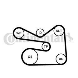 CONTINENTAL CTAM Keilrippenriemensatz für VW SEAT AUDI SKODA 6PK1733K3