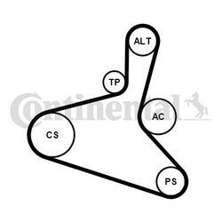 CONTINENTAL CTAM Keilrippenriemensatz für VW AUDI SEAT SKODA 6DPK1195K1