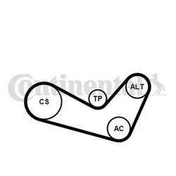 Continental Ctam Keilrippenriemensatz (6PK1080K1) für Audi A2 VW New Beetle