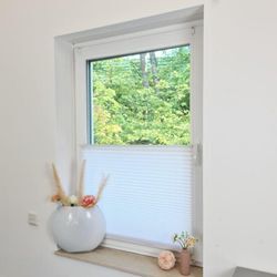 Premium Klemmfix-Plissee ohne bohren, Faltrollo Rollo Jalousie für Fenster Tür Weiß 45 cm 100 cm