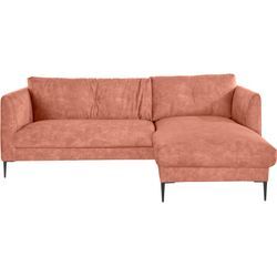 Ecksofa LEONIQUE "Falbella, L-Form" Sofas Gr. B/H/T: 235cm x 84cm x 165cm, Samtoptik, Recamiere rechts, rosa (blossom) extra hohe Füße aus Metall, für kleine Räume geeignet