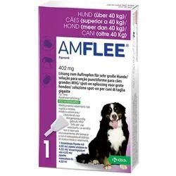 Amflee 402 mg Spot-on Lsg.f.sehr gr.Hunde 40-60kg 3 St 3 St