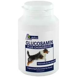 Glucosamin+Chondroitin für Hunde 120 St