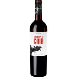 Tierras de Cair, Ribera del Duero DO, Kastilien - León, 2011, Rotwein