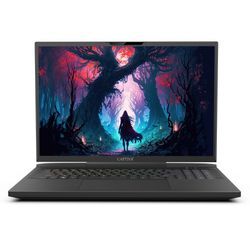 CAPTIVA Gaming-Notebook "Highend Gaming I81-486", Notebooks, schwarz, 32 GB RAM 1000 GB SSD, Core i9, Microsoft Windows 11 Home (64 Bit)