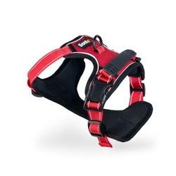 Lionto Hundegeschirr rot XL