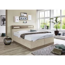 Boxspringbett, beige (dunkelbeige, beige), Ohne Topper, Liegefläche B/L: 160cm x 200cm, H3, 5-Zonen-Tonnentaschen-Federkernmatratze, Bezug Obermatratze 100% Polyester, waschbar bis 60u00b0C, Bezug Unterbox und Kopfteil: Mikrofaservelours (100% Polyester), WESTFALIA SCHLAFKOMFORT, Komplettbetten, Boxspringbett, mit LED-Beleuchtung