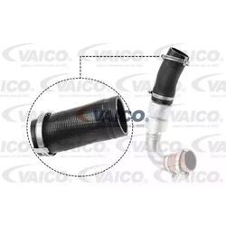 VAICO Ladeluftschlauch FORD V25-1036 1697700,1697700part2,AV616C700AD