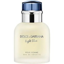 Dolce&Gabbana Herrendüfte Light Blue pour homme Eau de Toilette Spray