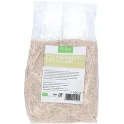 Flohsamenschalen Indisch Bio 250 g