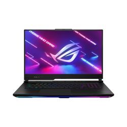 ASUS ROG Strix SCAR 17 G733PY-LL002W AMD Ryzen™ 9 7945HX3D Notebook 43,9 cm (17,3")