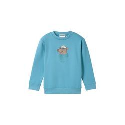 TOM TAILOR Jungen Sweatshirt mit Bio-Baumwolle, blau, Print, Gr. 92/98