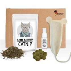 Kater Kasimir Katzenminze Party Paket