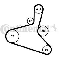 CONTINENTAL CTAM Keilrippenriemensatz für VW AUDI SEAT SKODA 6DPK1195K1